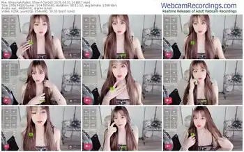 stripchat-owqoll-04-01-2025-16-38-57