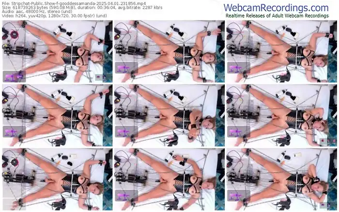 stripchat-gooddessamanda-04-01-2025-23-18-56