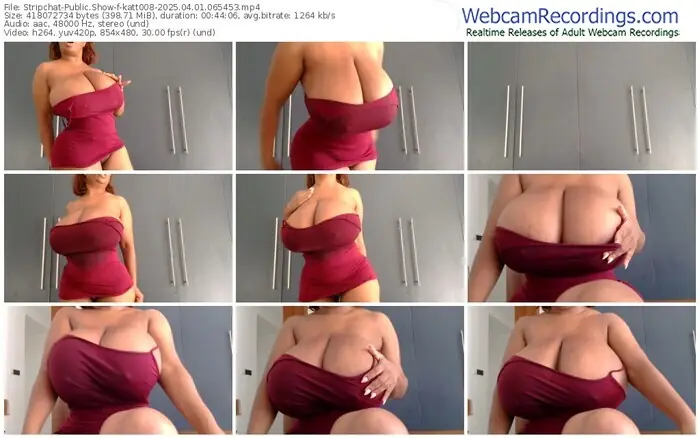 stripchat-katt008-04-01-2025-06-54-53