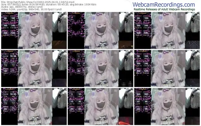 stripchat-z23002-04-01-2025-13-41-52