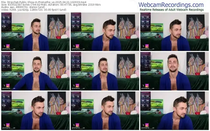 stripchat-promethe_us-04-01-2025-10-29-33
