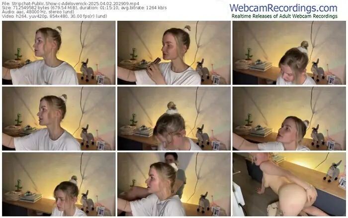 stripchat-adelovenick-04-02-2025-20-29-09