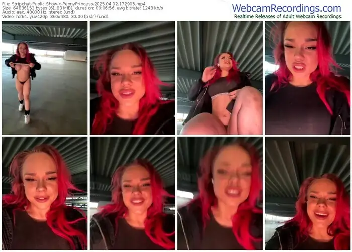 stripchat-pennyprincess-04-02-2025-17-29-05
