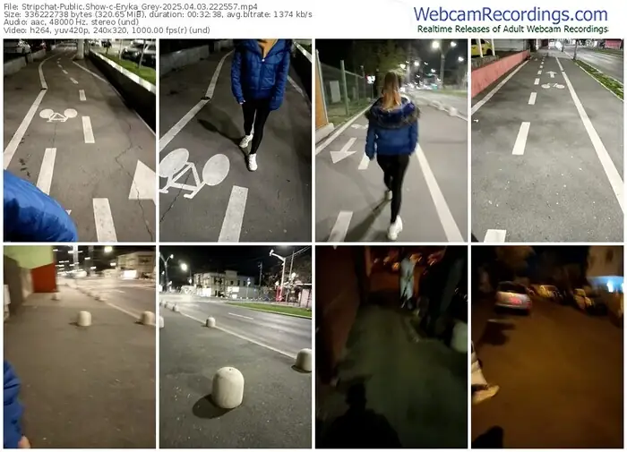 stripchat-eryka_grey-04-03-2025-22-25-57