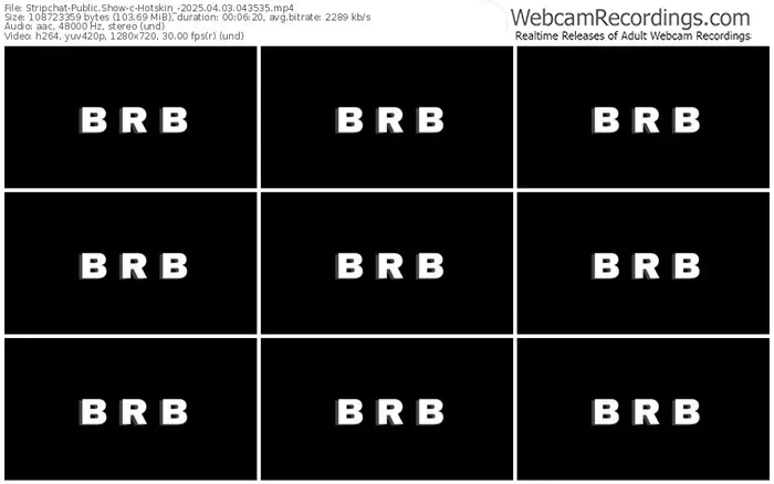 stripchat-hotskin_-04-03-2025-04-35-35
