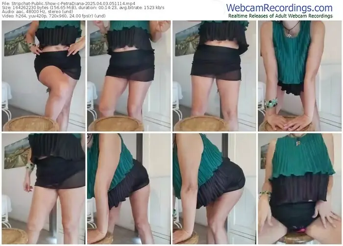 stripchat-petradiana-04-03-2025-05-11-14