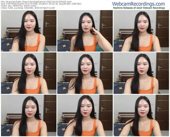 stripchat-ameliajohanson-04-03-2025-09-44-25