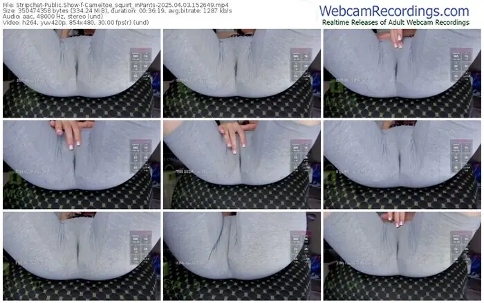 stripchat-cameltoe_squirt_inpants-04-03-2025-15-26-49