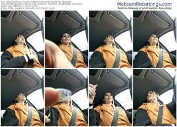 stripchat-selenafendy-04-03-2025-11-17-00