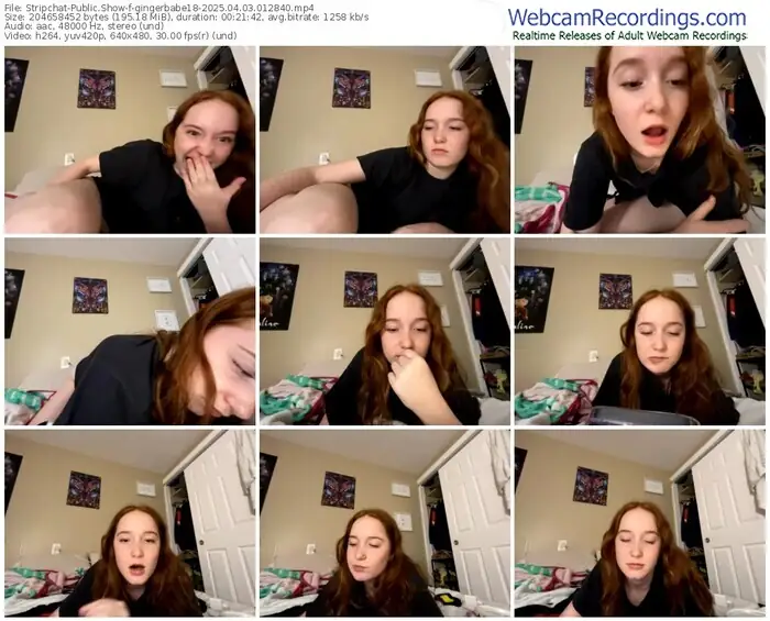 stripchat-gingerbabe18-04-03-2025-01-28-40