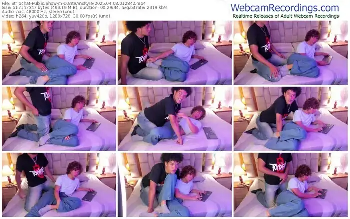 stripchat-danteandkyle-04-03-2025-01-28-42