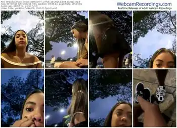 stripchat-naughty_little_18-04-04-2025-23-29-11