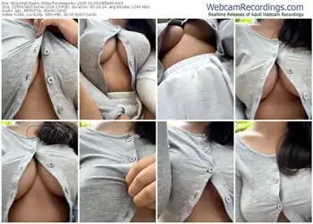 stripchat-meowpinky-04-04-2025-08-58-46