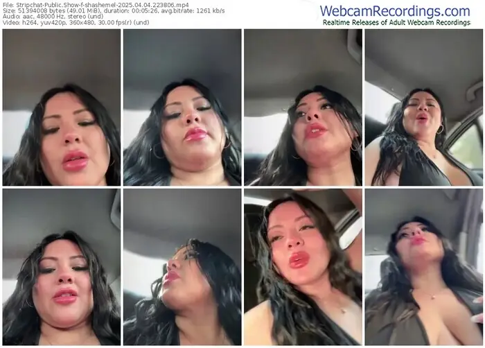 stripchat-shashemel-04-04-2025-22-38-06