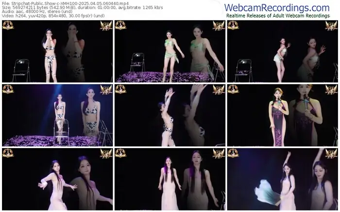 stripchat-xmh100-04-05-2025-06-04-40