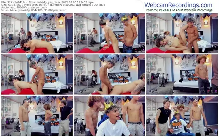 stripchat-badguyss_bisex-04-05-2025-17-24-02