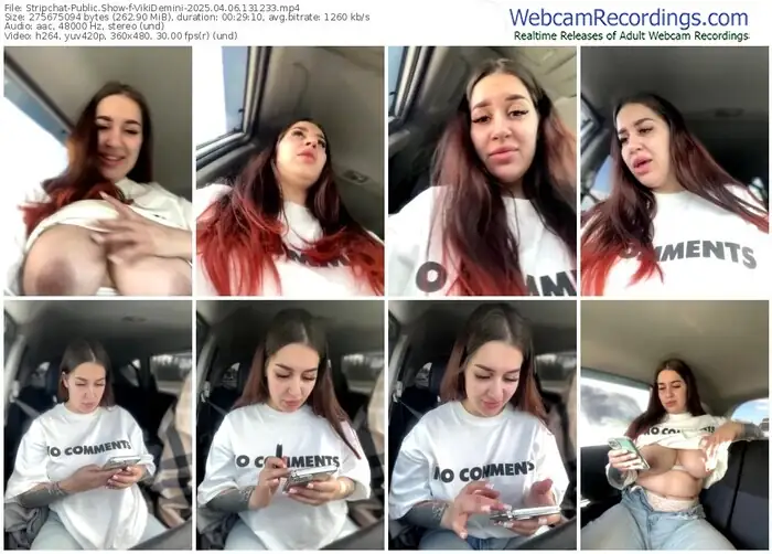 stripchat-vikidemini-04-06-2025-13-12-33