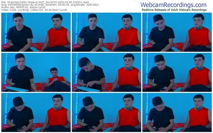 stripchat-hot_boy2025-04-06-2025-20-20-11