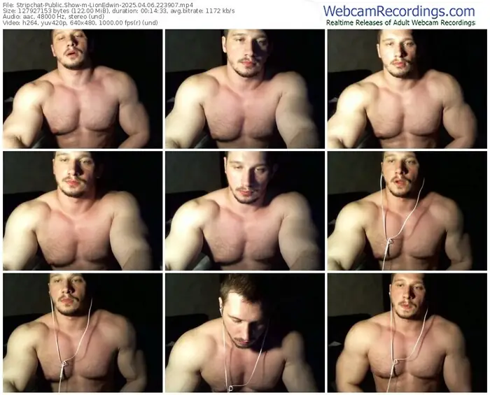 stripchat-lionedwin-04-06-2025-22-39-07