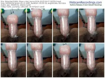 stripchat-hot_bunny2024-04-07-2025-20-25-10