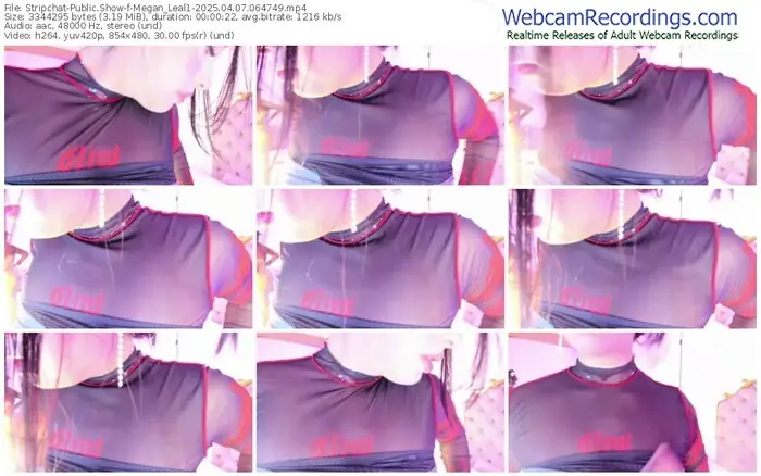 stripchat-megan_leal1-04-07-2025-06-47-49