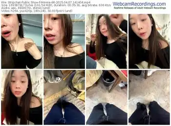 stripchat-minnie-66-04-07-2025-14-14-04