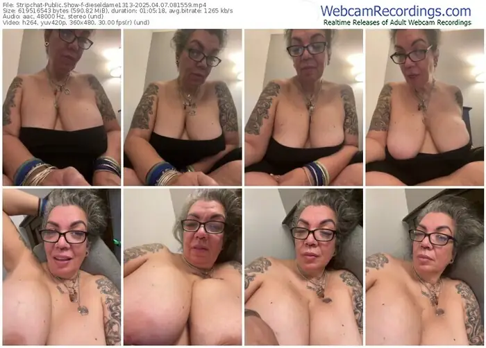 stripchat-dieseldame1313-04-07-2025-08-15-59
