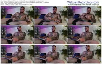 stripchat-dimitrisullivan_-04-07-2025-06-31-18