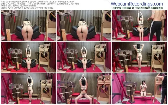 stripchat-bdsm_vantablack_-04-08-2025-05-35-39