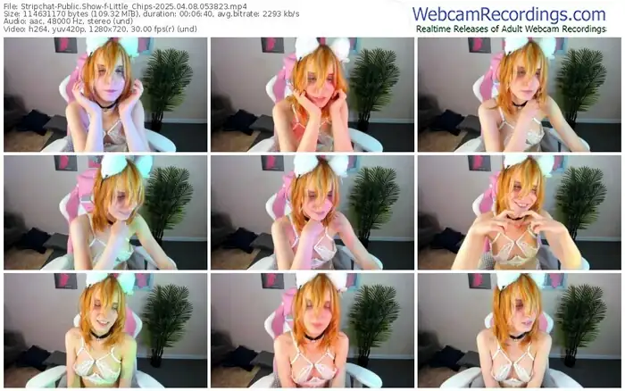 stripchat-little_chips-04-08-2025-05-38-23