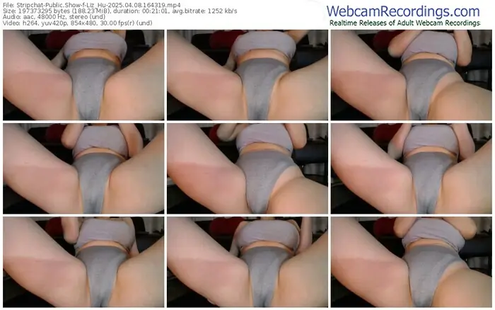stripchat-liz_hu-04-08-2025-16-43-19