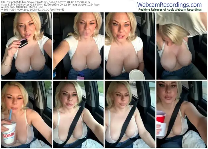 stripchat-southern_belle_19-04-08-2025-00-55-07