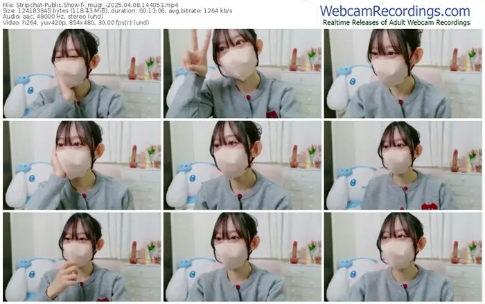 stripchat-_mugi_-04-08-2025-14-40-53