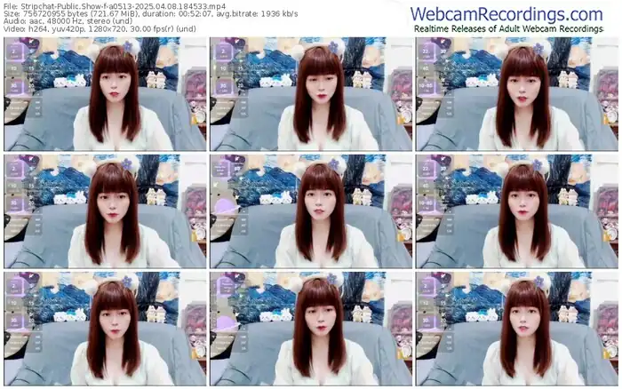 stripchat-a0513-04-08-2025-18-45-33