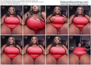 stripchat-m_yummyshish-04-08-2025-14-08-41