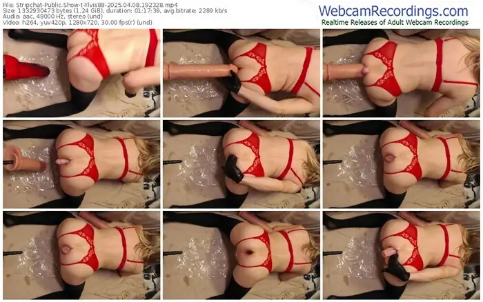 stripchat-ylvis88-04-08-2025-19-23-28