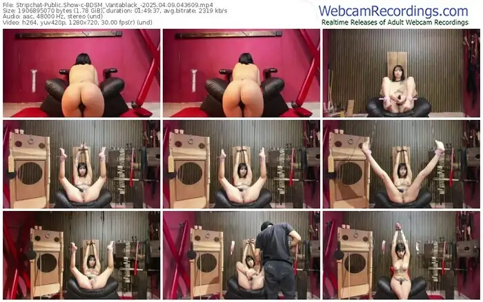 stripchat-bdsm_vantablack_-04-09-2025-04-36-09