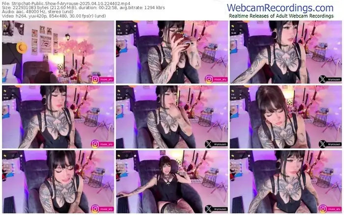 stripchat-aryrouse-04-10-2025-22-44-02