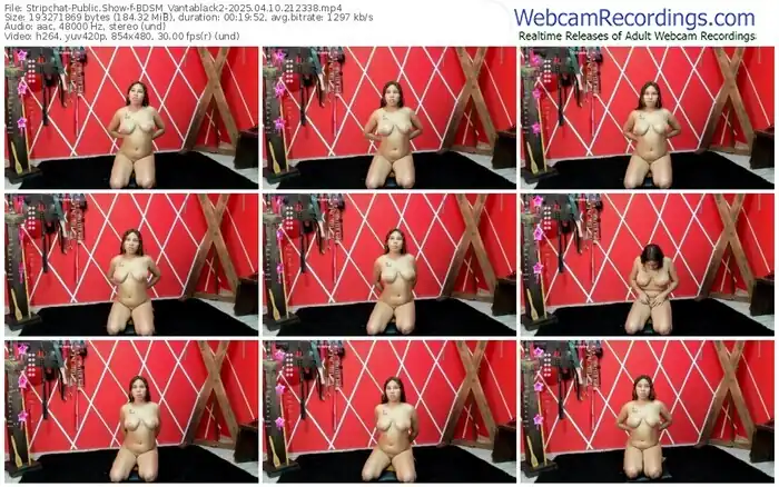 stripchat-bdsm_vantablack2-04-10-2025-21-23-38