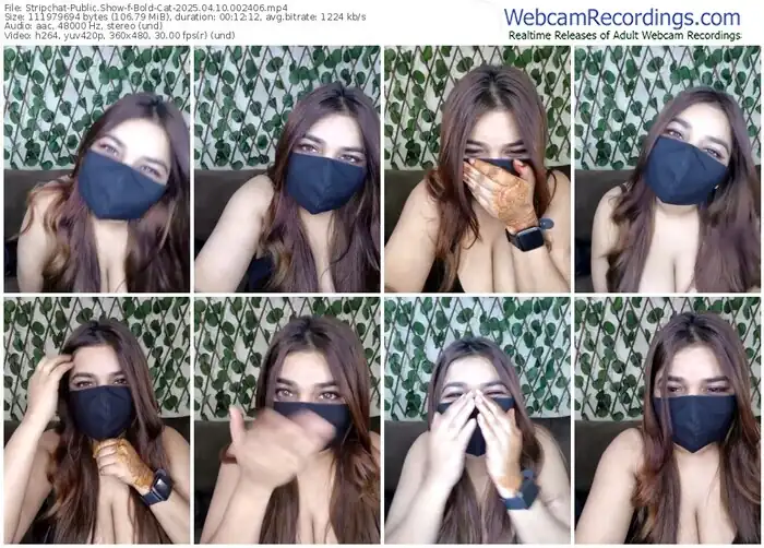 stripchat-bold-cat-04-10-2025-00-24-06