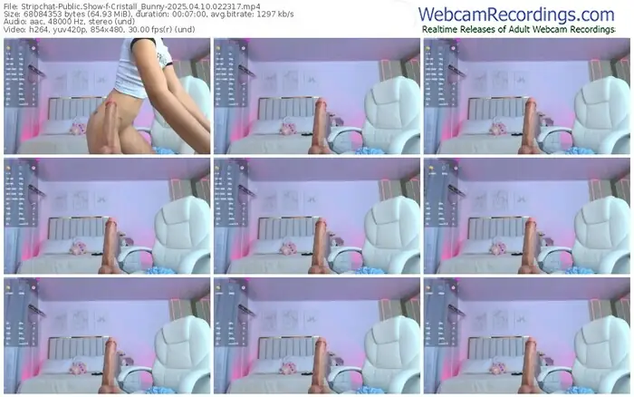 stripchat-cristall_bunny-04-10-2025-02-23-17