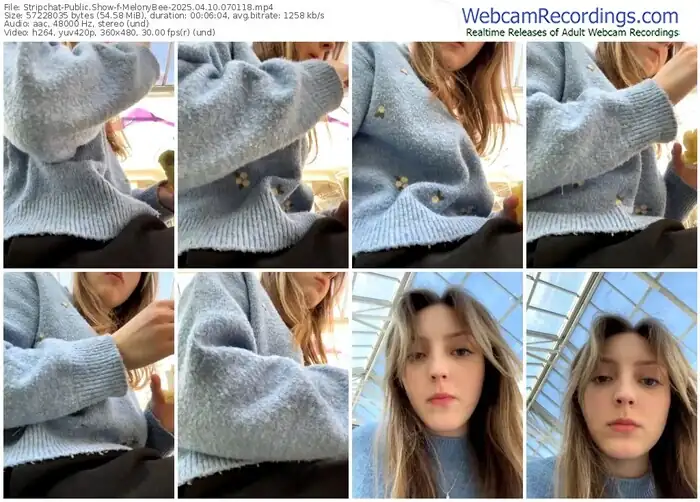 stripchat-melonybee-04-10-2025-07-01-18