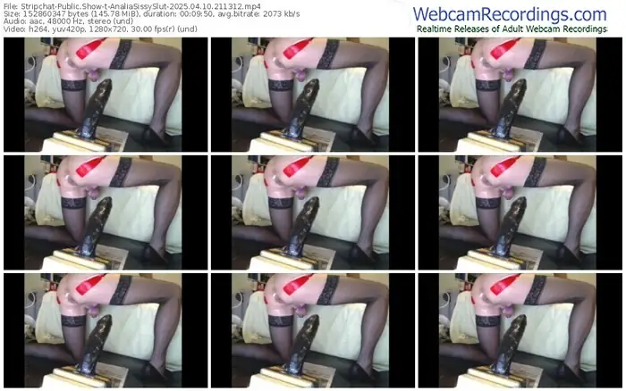 stripchat-analiasissyslut-04-10-2025-21-13-12