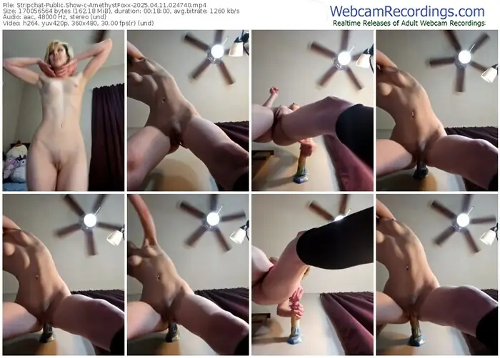 stripchat-amethystfoxx-04-11-2025-02-47-40