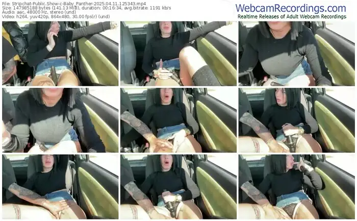 stripchat-baby_panther-04-11-2025-12-53-43