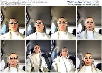 stripchat-charming_ritta-04-11-2025-04-19-37