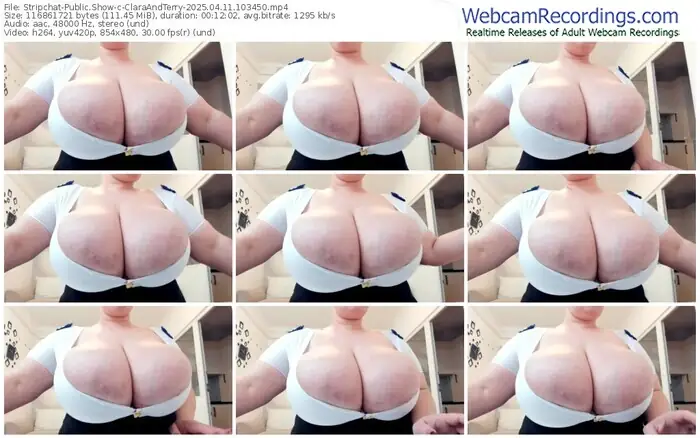 stripchat-claraandterry-04-11-2025-10-34-50