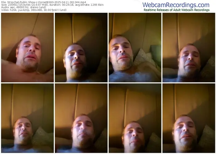 stripchat-dorset8360-04-11-2025-06-13-44