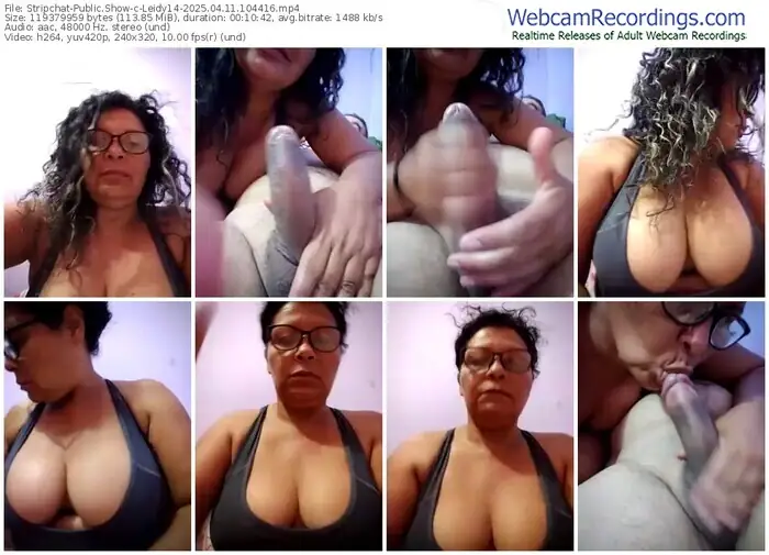 stripchat-leidy14-04-11-2025-10-44-16