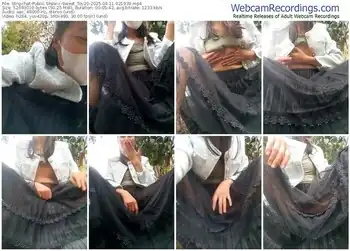 stripchat-sweet_toy20-04-11-2025-02-19-39